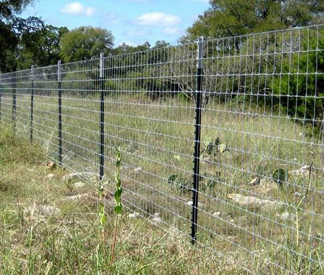 Fence Posts