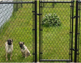 Pet Cages