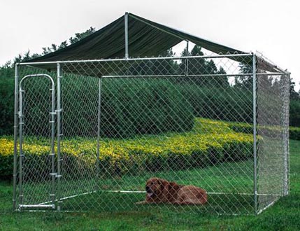 Pet Cages