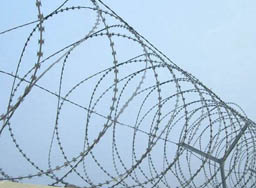 Razor Wire
