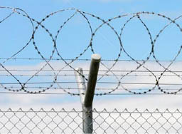 Razor Wire