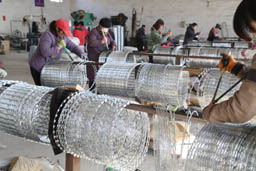 Razor Wire