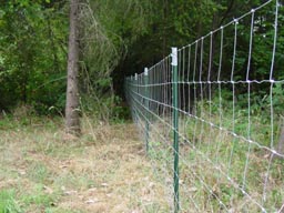 Cattle Fence