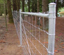 Cattle Fence