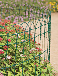 Border Fence