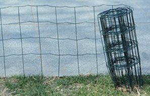 Border Fence