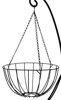WBP-03