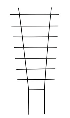 WLS-29