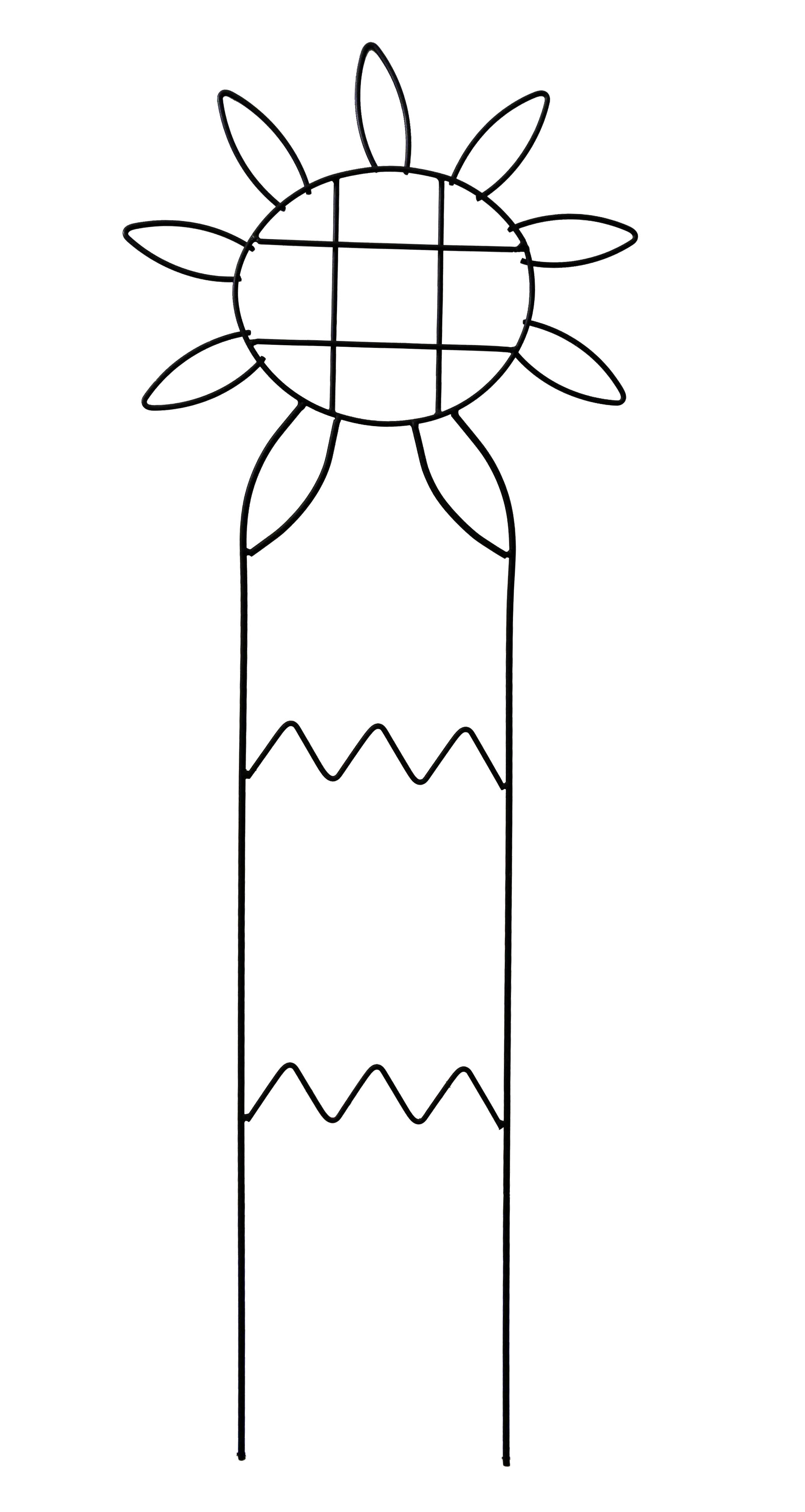 WLS-49