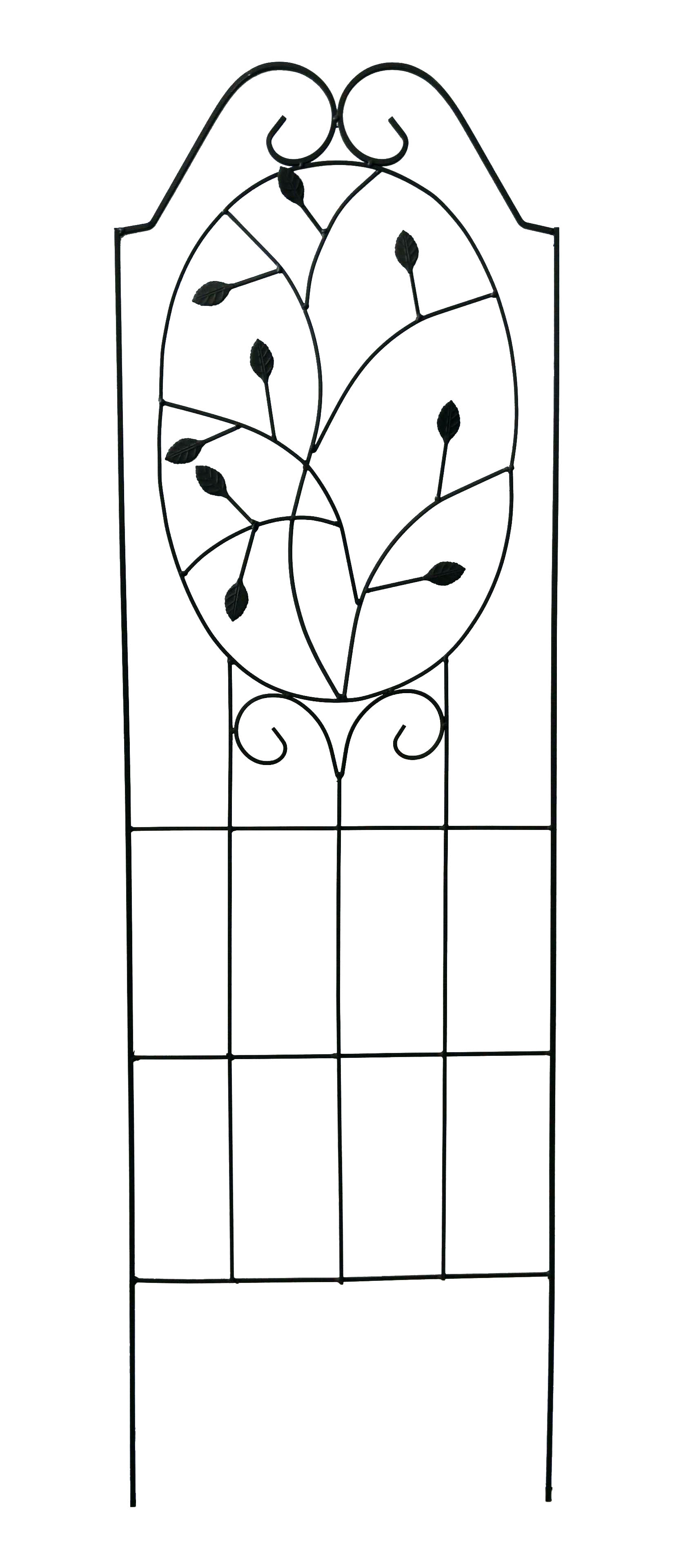 WLS-54